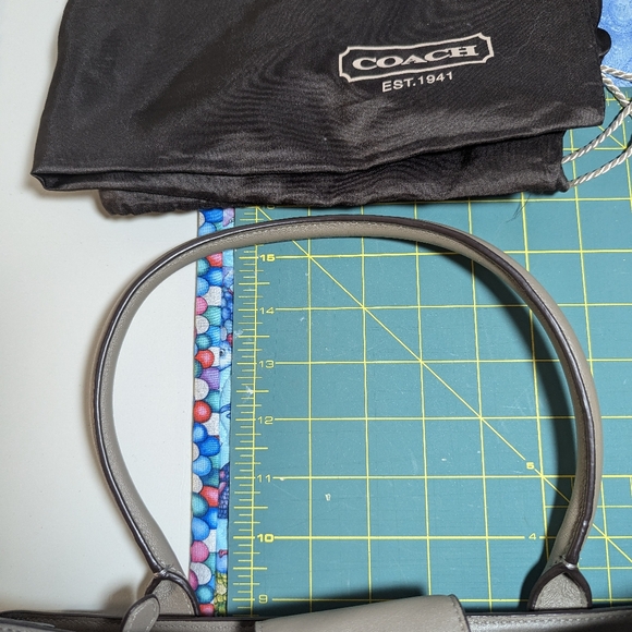 Coach Swagger - Picture 12 of 16